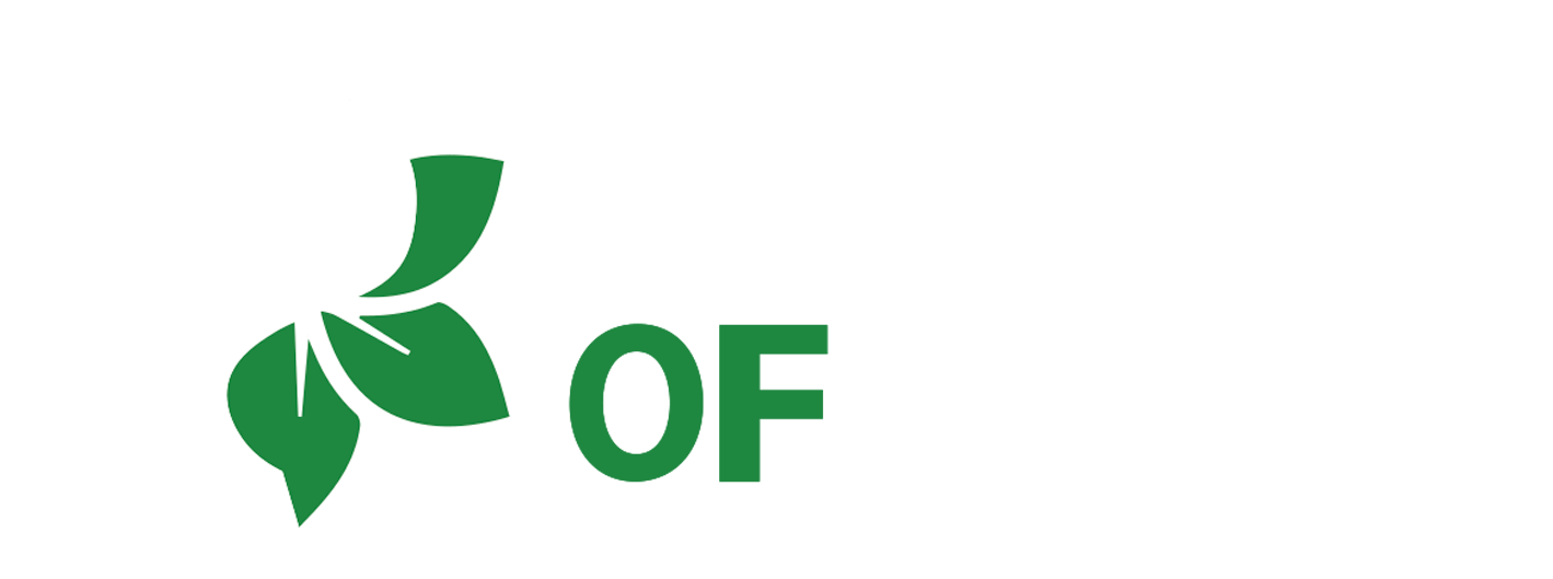 Flower Of Life